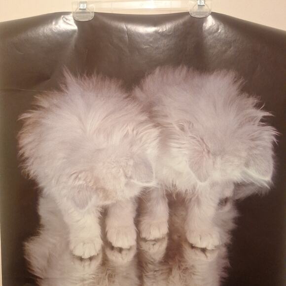 AAG PC0986 "Here's Looking At You" Poster 1990 - Picture 2 of 5